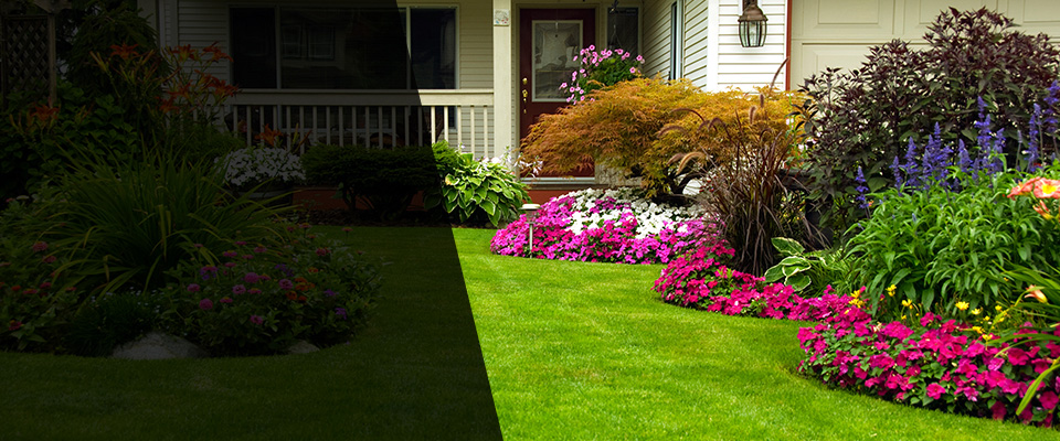 Parker Landscapers