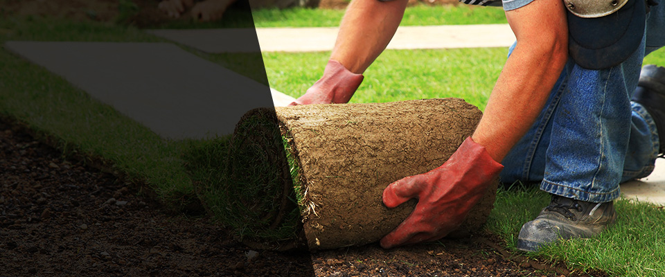 Parker Landscapers
